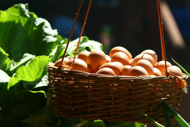 Egg crates stacked
