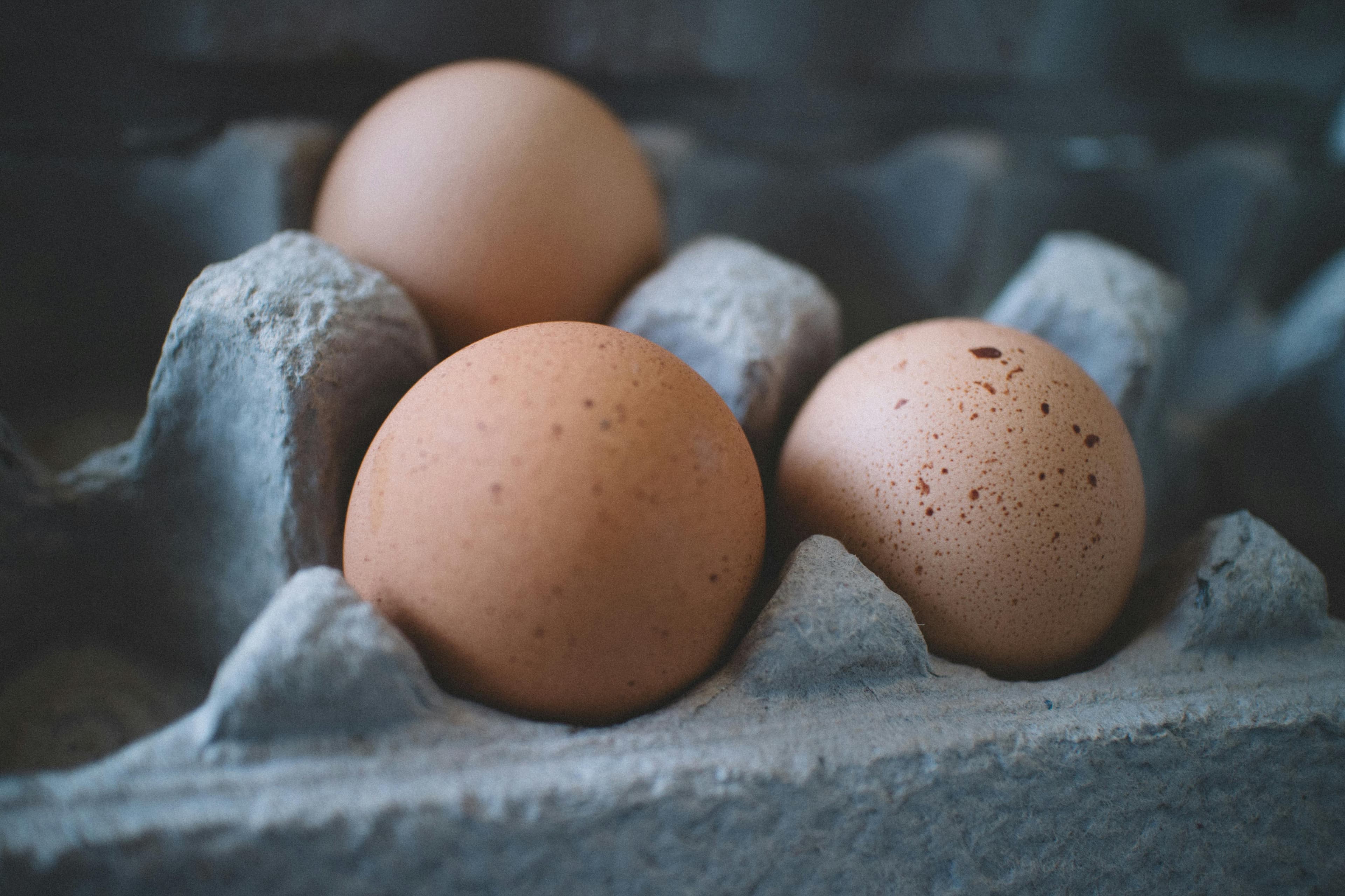 Fresh brown eggs resting in a carton